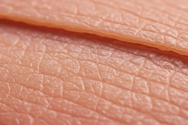 Hair Removal: Follicle Anatomy Secrets for 2026