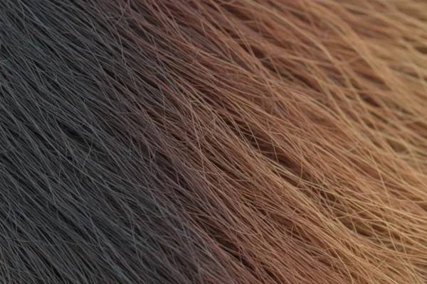 90% Hair Reduction: Expectations for 2026